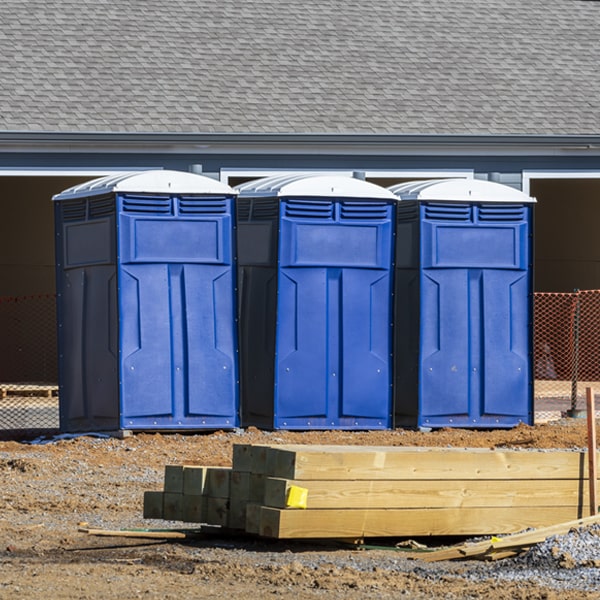 how can i report damages or issues with the portable toilets during my rental period in Cannelburg